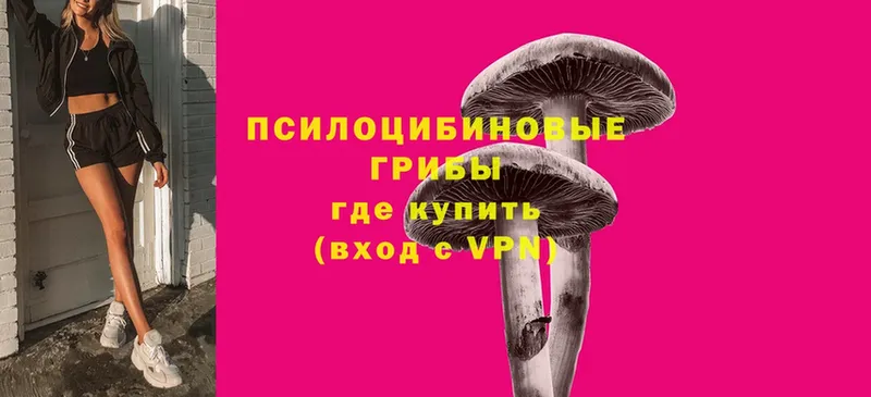 ссылка на мегу tor  это формула  Полысаево  Галлюциногенные грибы Psilocybine cubensis  наркотики 